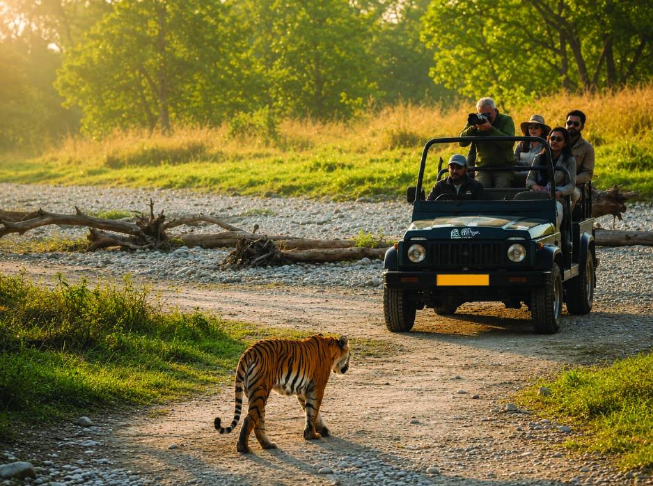 Full-day Safari