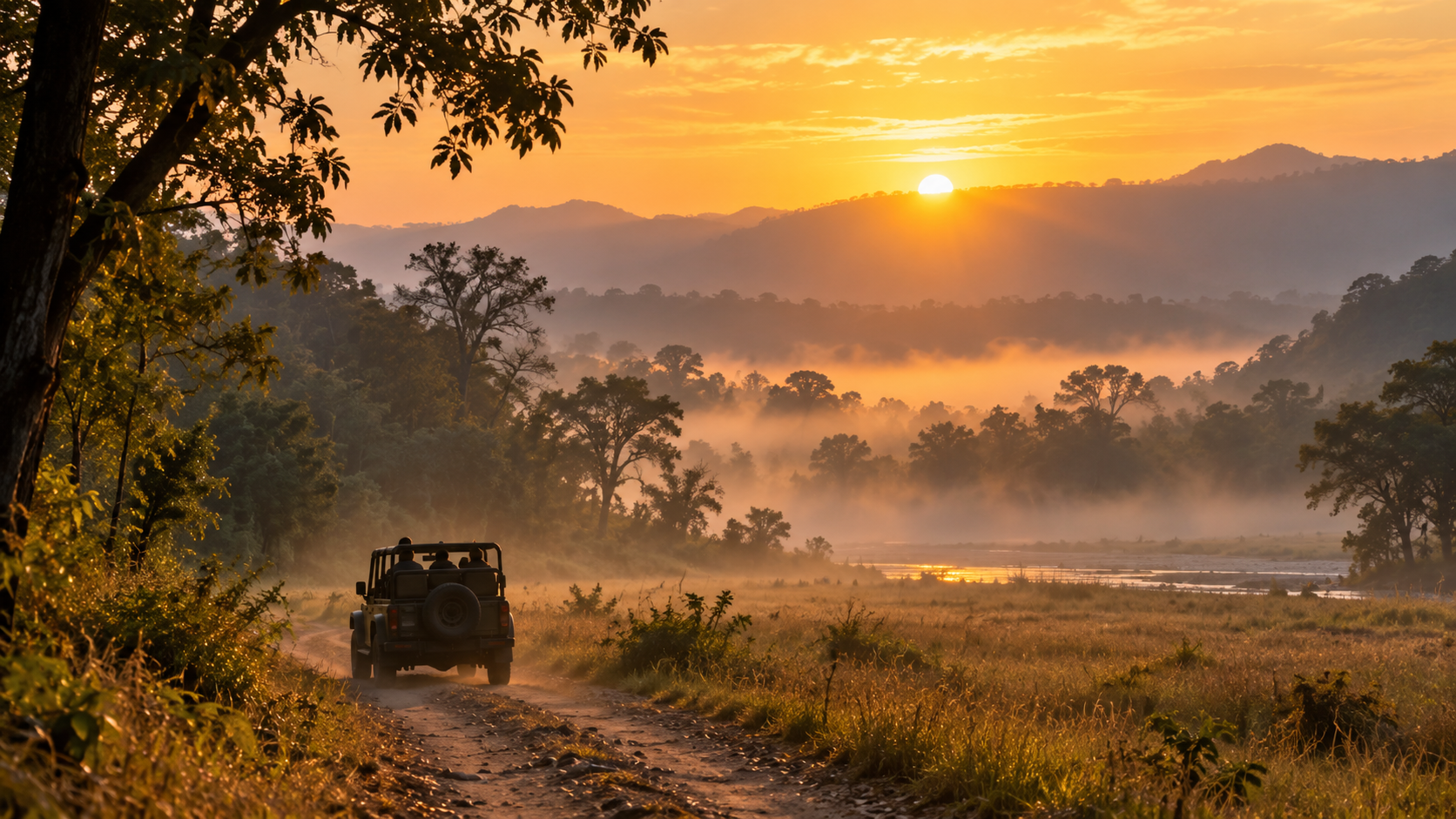 Jungle safari morning