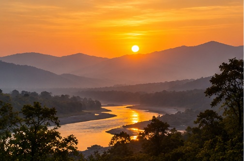 Morning and evening safari coordination in Corbett